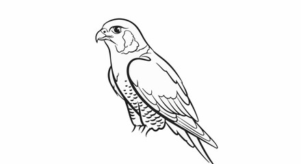 Fototapeta premium Detailed line drawing of a perched falcon