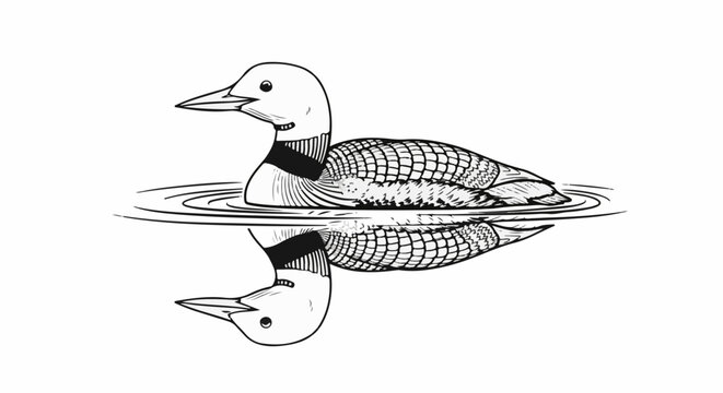 Detailed black and white line art of a loon floating on water with reflection