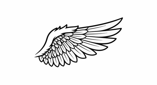 Detailed black and white illustration of a single bird wing