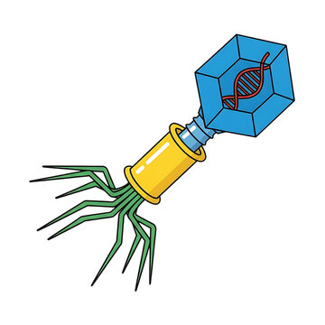 Bacteriophage t2 virus on transparent background