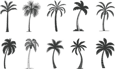 Fototapeta premium Palm trees silhouettes set, tropical beach plants collection for summer travel design trees silhouettes set, tropical beach plants collection for summer travel design vector illustration