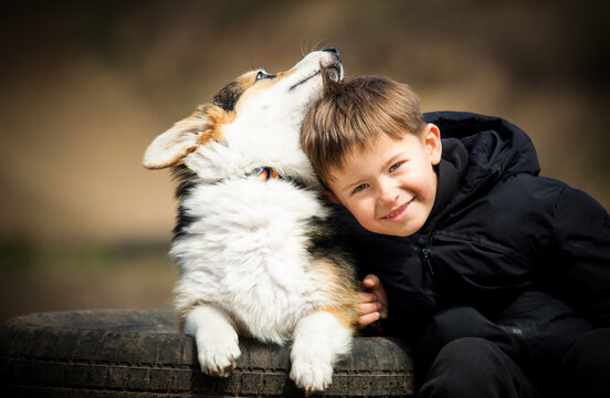 Affectionate Corgi puppy nuzzling a happy young boy outdoors.