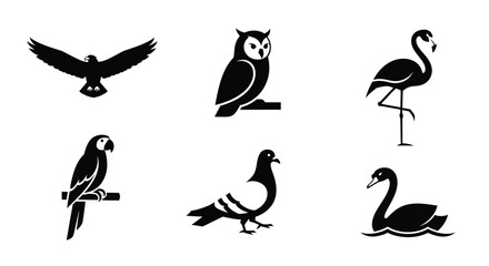 Obraz premium Various birds are depicted in different poses and flying in the air.