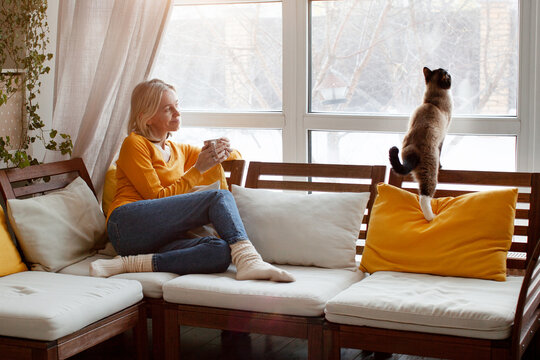 Positive relaxed smiling woman on couch drinking mug of coffee, daydreaming, enjoying pleasant stress free weekend time with cat at home.