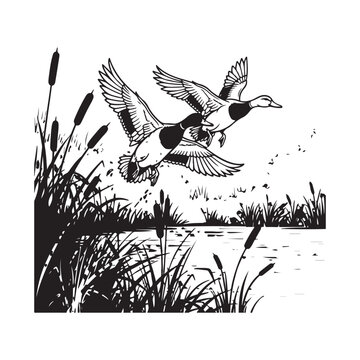 Two ducks flying over a pond with cattails