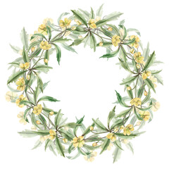Fototapeta premium A lush, round wreath of spring forest yellow flowers with carved leaves. Watercolor illustration for designing greeting cards, textiles, weddings, nature websites, and eco-themed designs.