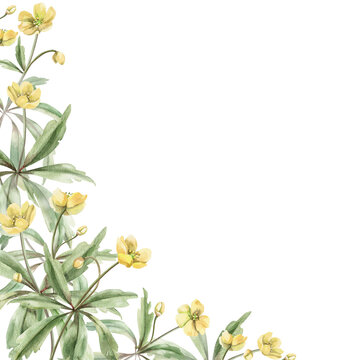A corner frame of wild yellow forest flowers. This hand-drawn watercolor illustration is perfect for cards, textiles, weddings, nature websites, and eco-themed designs.