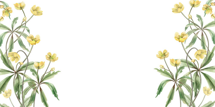 A rectangular frame of delicate yellow spring flowers and leaves. This hand-drawn watercolor illustration is perfect for greeting cards, textiles, weddings, nature websites, and eco-themed designs.