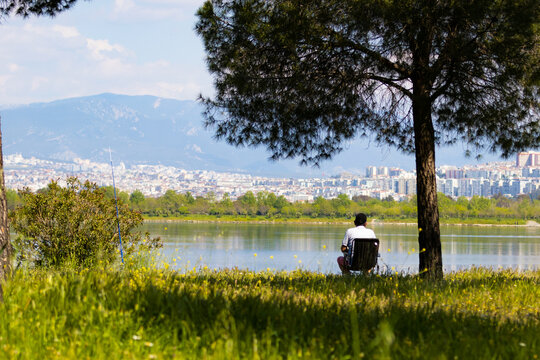 An elderly man sitting on a chair under a large pine tree by the lake side enjoying the city skyline view in the distance.