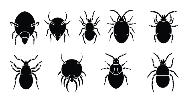 Black spider silhouettes collection vector illustration on white background