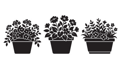 Obraz premium black and white silhouette set of Flower Tub very high quality vector illustration.
