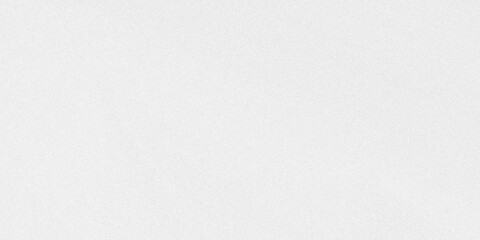Fototapeta premium A plain white background with a subtle texture isolated on transparent background