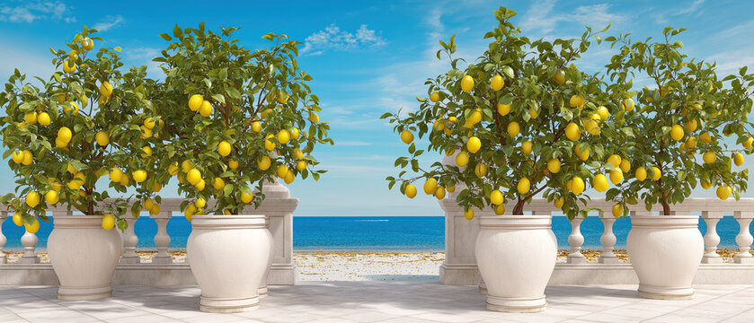 Four terracotta urns bursting with ripe yellow lemons flank a marble balustrade overlooking azure waters.