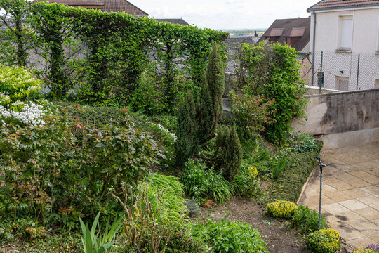 Jardin r&eacute;sidentiel luxuriant avec haie de plantes grimpantes, arbustes vari&eacute;s et terrasse en dalles claires pour un am&eacute;nagement paysager paisible et moderne.