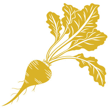 yellow beet silhouette on white background