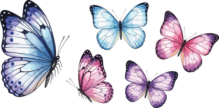 Colorful Butterfly Illustration Set with Detailed Wings in Blue Pink and Purple Shades for Nature Design, Decorative Art, Spring Theme, and Creative Vector Projects