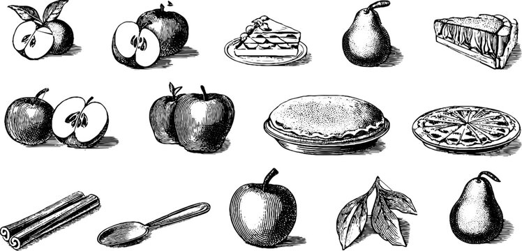 Vintage engraved fruit clipart sheet of apples pears slices and kitchen elements for label and background design