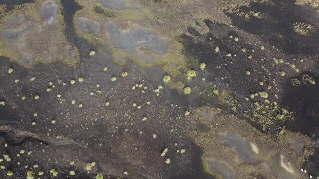Aerial top-down view of a dark volcanic lava field with scattered moss patches and rugged natural texture in the Icelandic wilderness.