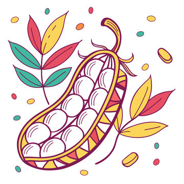 fayot bean colorful on white background