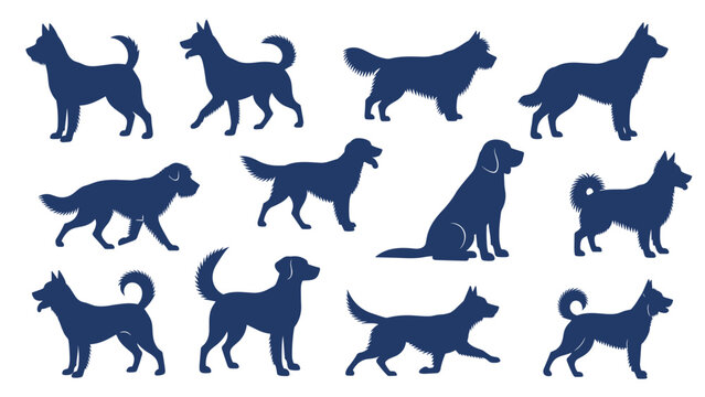 Silhouettes of different dog breeds in dark blue arranged in rows showing various sizes and postures of canine companions.