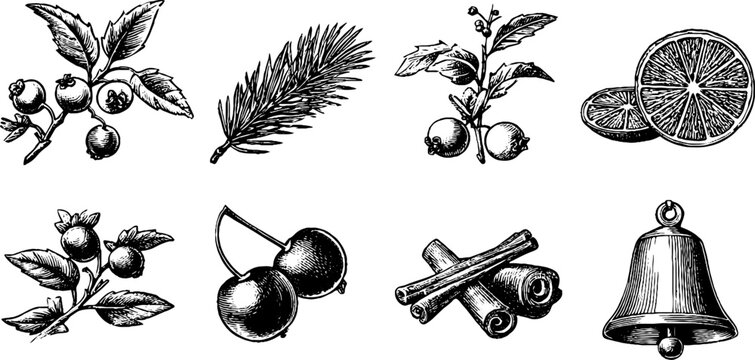 Vintage engraved cranberry and pine sprig clipart sheet with cranberries cherries cinnamon orange slice and bell for holiday greeting card decoration and seasonal design