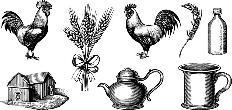 Vintage engraved farm clipart sheet with roosters wheat barn teapot and milk mug for label and packaging design vintage product branding signage and background use
