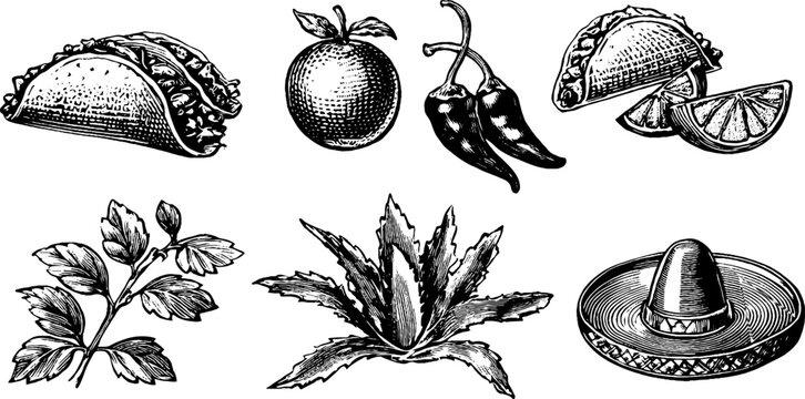 Vintage engraved taco shell and chili pepper clipart sheet with citrus and sombrero for menu background and packaging design