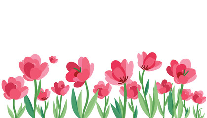 Fototapeta premium Vibrant pink tulips in a row.