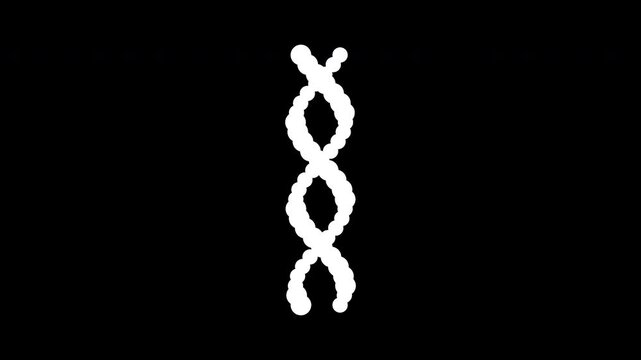 Seamlessly rotating, glowing white DNA helix of intricate data particles. A futuristic 2D molecular motion graphic, isolated on transparent alpha channel.