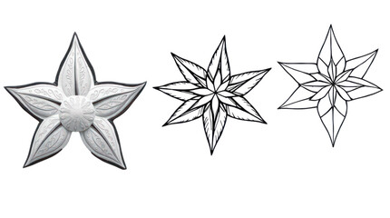 Obraz premium Decorative Elegant White Star Flower Emblem for Enchanting Graphic Design Projects