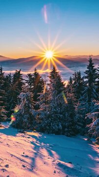 Calm Sunrise Over Frozen Forest in Alps Mountains, Vertical Timelapse