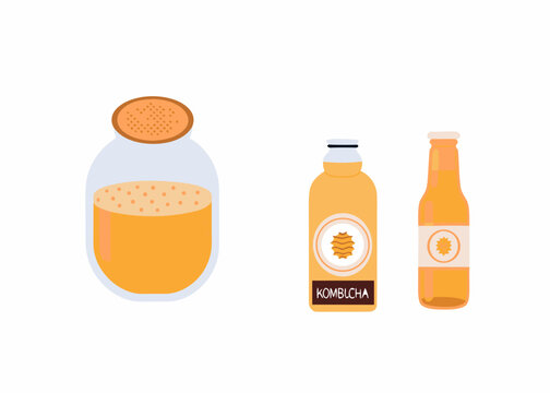 Three kombucha bottles and scoby illustration on white background