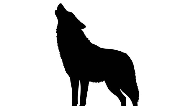 Black wolf silhouette, howling wolf icon, animal vector, wildlife graphic