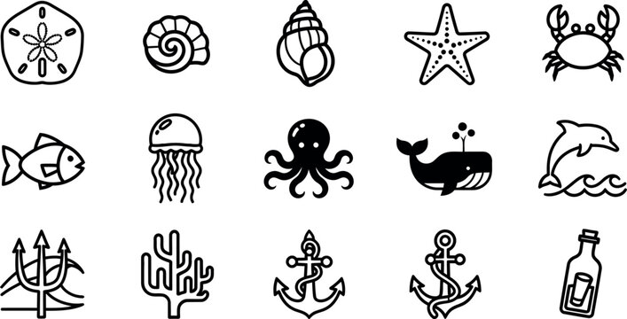 Collection of black and white line depicting marine life and nautical sand dollar seashell conch shell