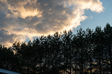 Fototapeta premium Dramatic Clouds Above Pine Tree Silhouette, Golden Light Meets Dark Treeline, Moody Sky With Storm Edges And Cinematic Contrast Ideal For Weather