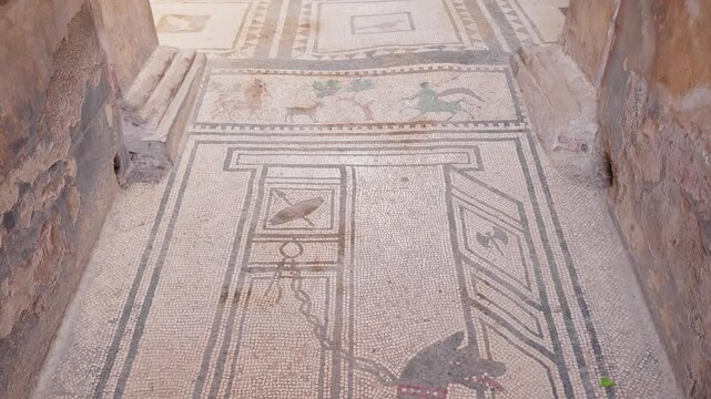 Clip moves from the famous black dog mosaic to a wider Pompeii atrium, revealing preserved Roman flooring, frescoed walls, and the central impluvium inside an ancient house.