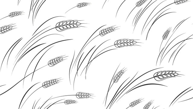 Subtle black and white pattern of numerous individual wheat stalks swaying in the wind across a white background.