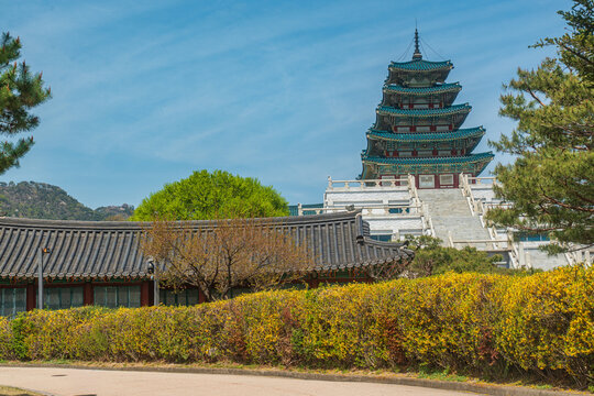 Seoul, South Korea - Apr. 12 , 2026 : The National Folk Museum of Korea with spring blossoms in Gyeongbokgung Palace, Seoul
