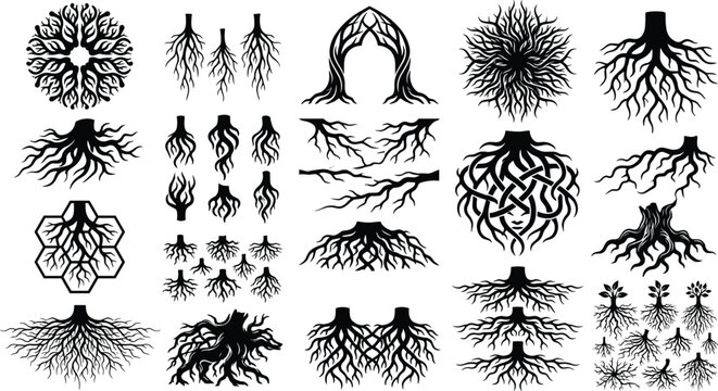 Black tree roots and branching silhouettes vector set with organic floral and celtic motifs