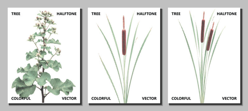 reed cattail bundle marsh set halftone vector pop art isolated water dotted collection swamp lake pond