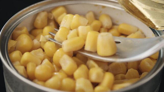 Fork lifts glossy yellow corn kernels from opened metal can with visible moisture and soft reflections in close-up