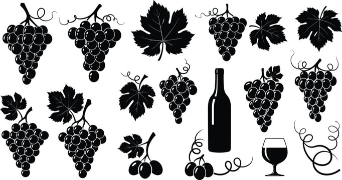 Grape and Wine Icons Set with Grapes, Wine Bottle, Glass, Vine Leaves, and Wine Elements for Vineyard, Harvest, and Drink Designs