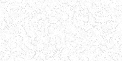 Fototapeta premium Gray abstract topographic map lines on white background texture pattern