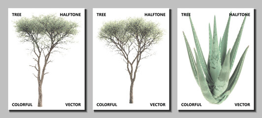 Set of three halftone tree illustrations, eucalyptus or palm tree, for poster or banner, isolated on transparent background, png © AfsanaBinteSalam