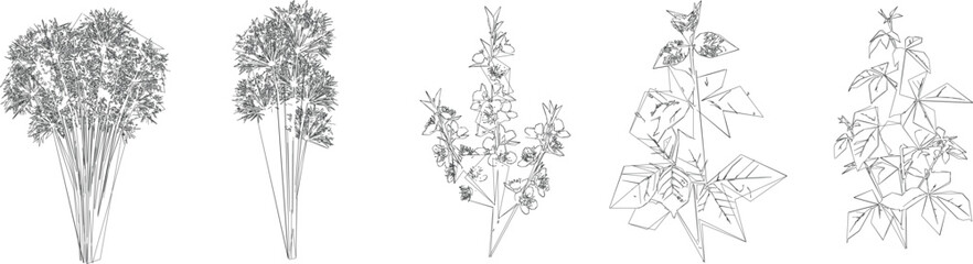 Fototapeta premium Young Sapling Tree Draw Vector Set for Nursery and Replanting CAD Architectural Drawings