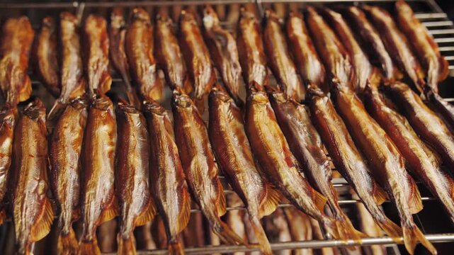 Golden Smoked Fish Arranged on Industrial Drying Racks