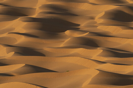 View of golden sand dunes with intricate wind-blown ripples and deep shadows in the Sahara Desert Kebili, Kebili Governorate, Tunisia.