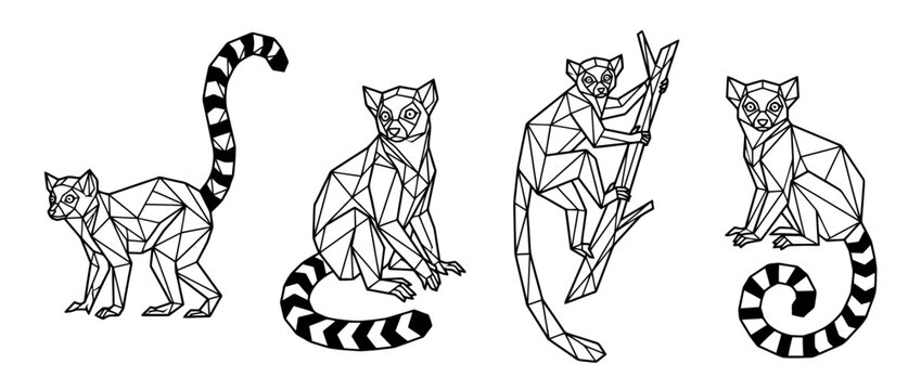lemur , Geometric Origami line art vector set