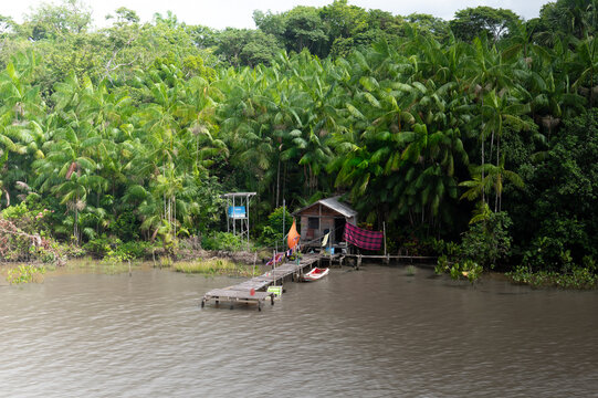 View of a small wooden house on stilts with a pier and a boat on the Amazon River bank surrounded by lush tropical jungle.
