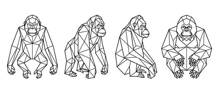 orangutan , Geometric Origami line art vector set